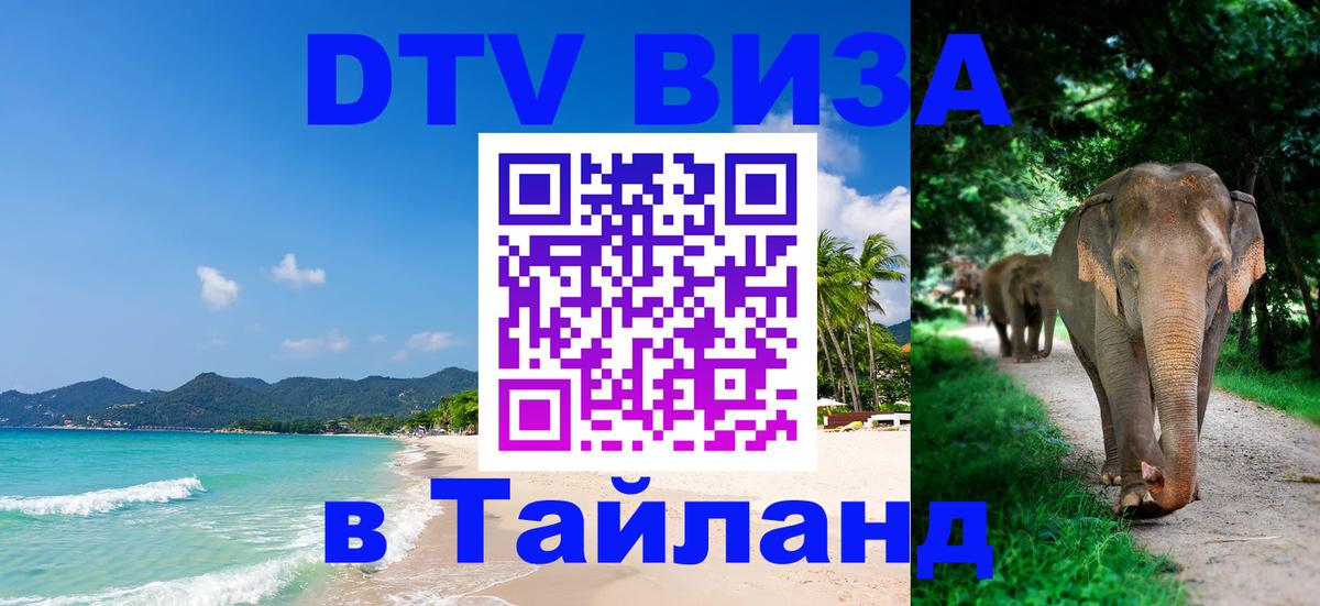 Сколько стоит DTV виза — актуальные цены, оформление даже без документов - 